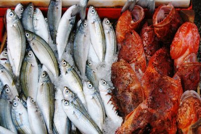 广州暂停进口疫区冷冻肉制品和水产品